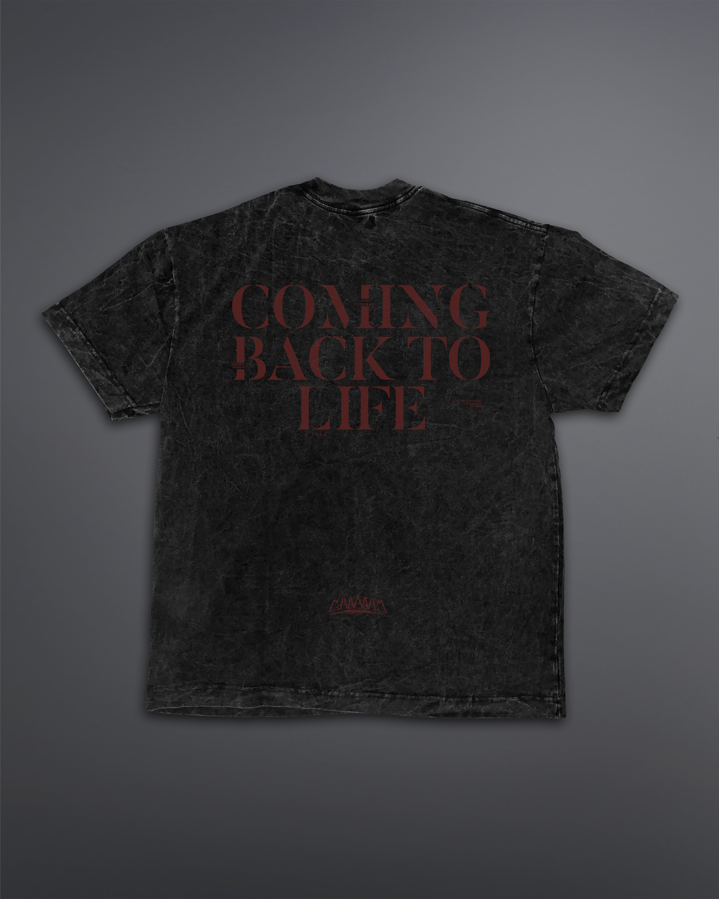 Coming Back To life Oversized Tee [ACID WASHED-SILENT ASH]